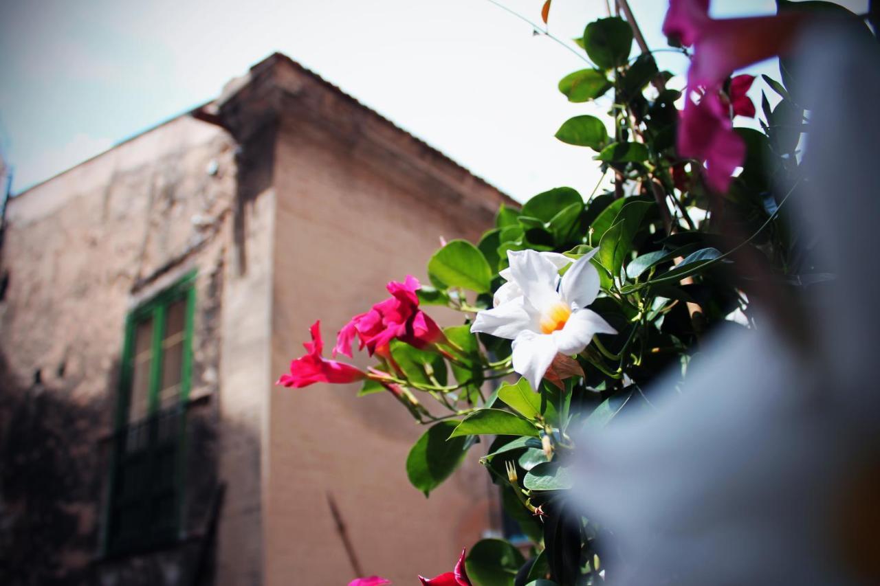 Palazzo Delle Logge Bed & Breakfast Palermo Exterior photo